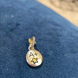 Silver A+ best teacher Brighton Charm